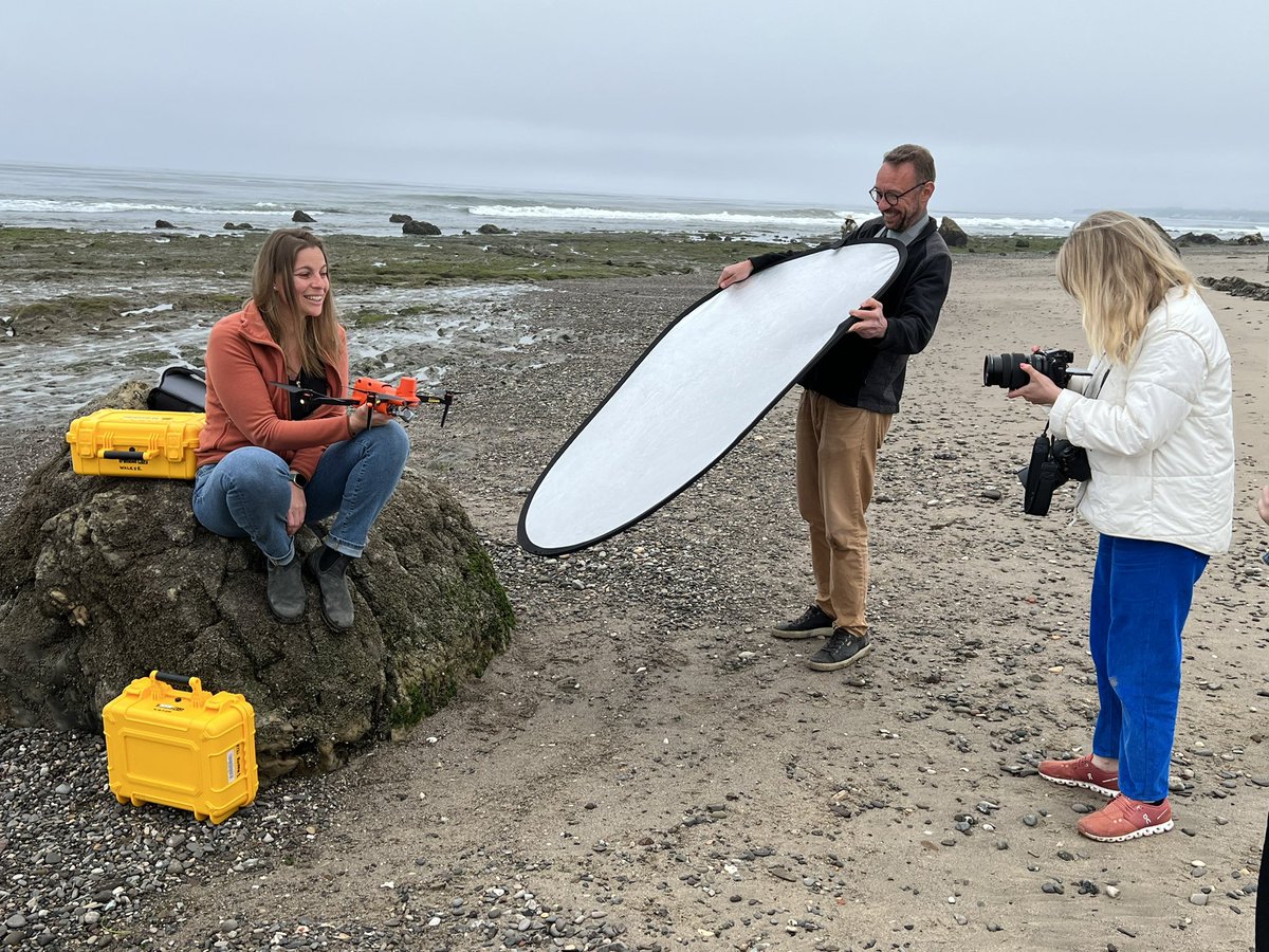 Ian J. Walker tweet media