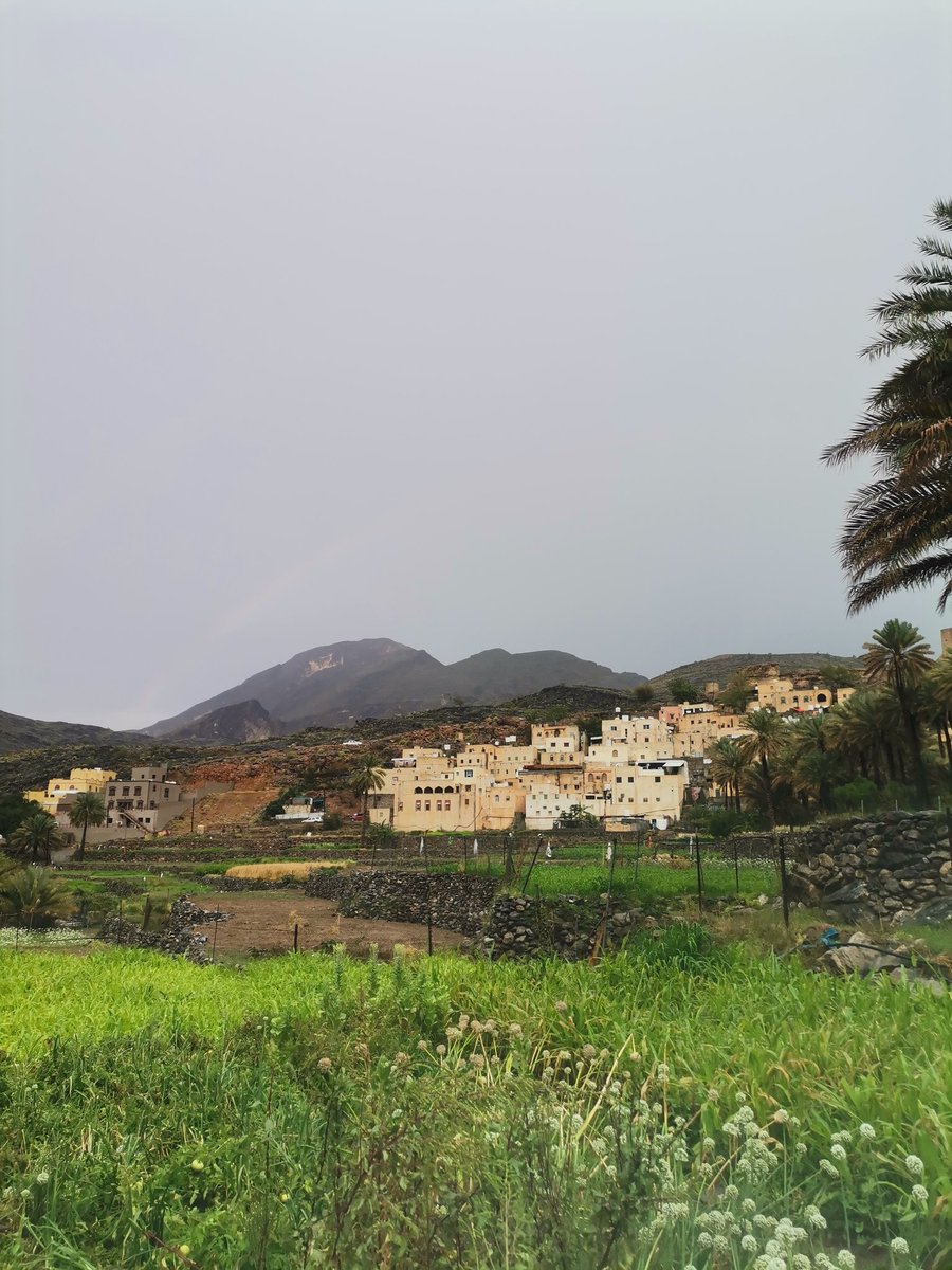 Baladseet1's tweet photo. امطار الخير على قرية #بلدسيت بولاية#الرستاق اليوم٢٦/٤/٢٠٢٣. https://t.co/gYCOWKowVx