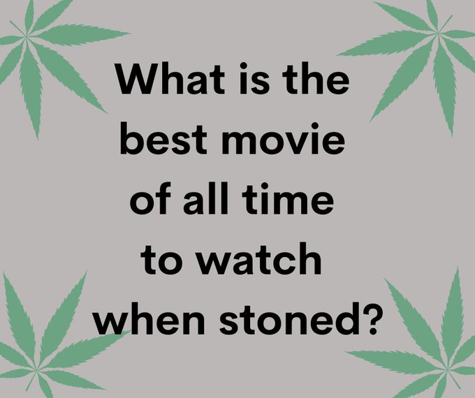 BudVizion tweet media