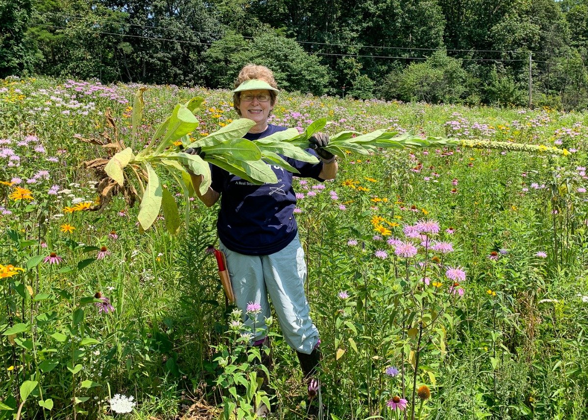 AppMountainsJV's tweet photo. Mike and Laura Jackson are shining examples of landowners who prioritize forest health and wildlife habitat when caring for their forests! Follow the link below to read their amazing story!

https://t.co/dJfJawjxm5

Photos by Mike and Laura Jackson https://t.co/H16L53nKra