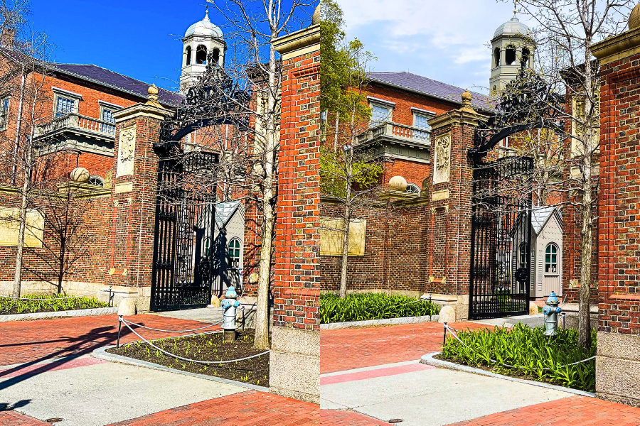 HarvardAlumni's tweet photo. Take your time and grow ๐ฑ #HarvardInSpring https://t.co/Pz8kwrbUuJ