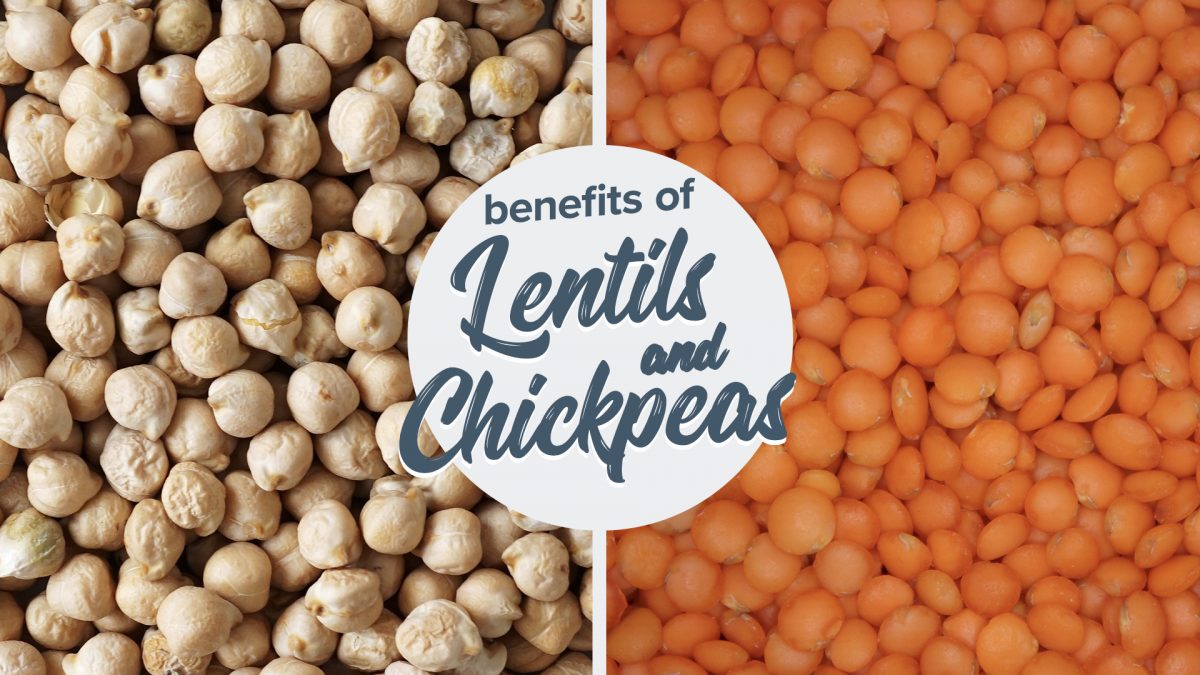 nutrition_facts's tweet photo. Lentils and chickpeas, also known as garbanzo beans, are put to the test. https://t.co/bf2I2jtOkc https://t.co/gNR4zbHcIP