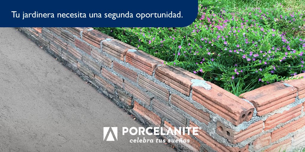 Porcelanite tweet media