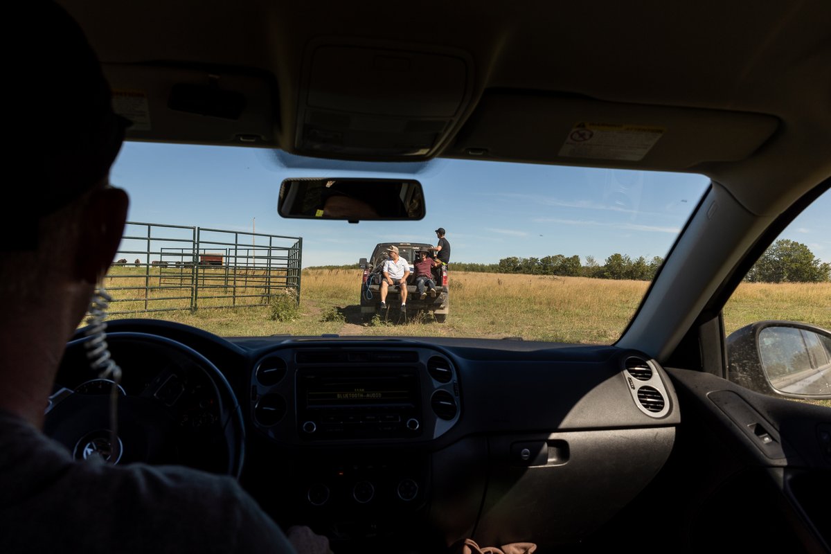 On our way to film some bison. Check out the  @FlatOutFoodTV  BISON episode TONIGHT at 10pm CST on <a href="/City_tv/">Citytv+</a>  Saskatchewan channels or live at citytv.com! 

#flatoutfood #saskatchewan #saskfilm #behindthescenes