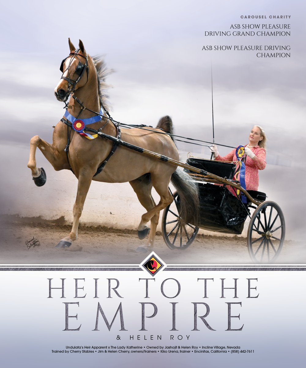 National Horseman tweet media