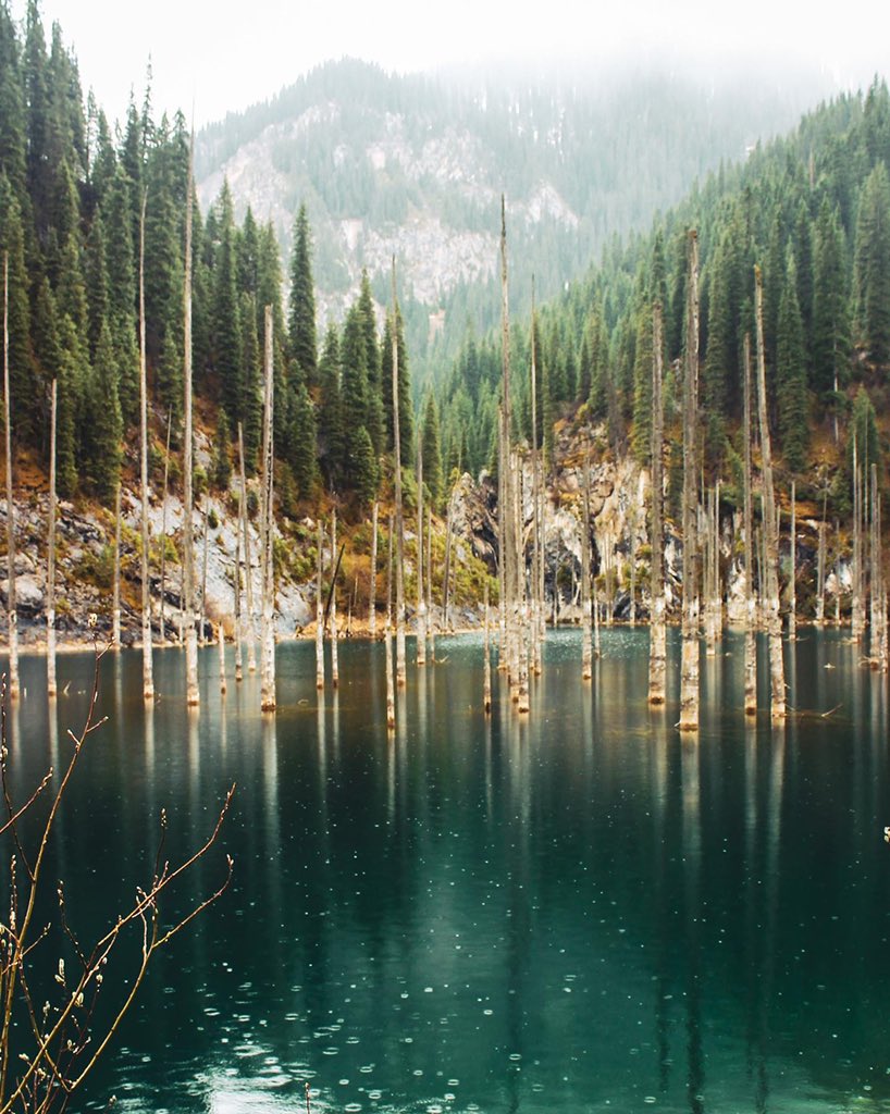 sj armstrong tweet media