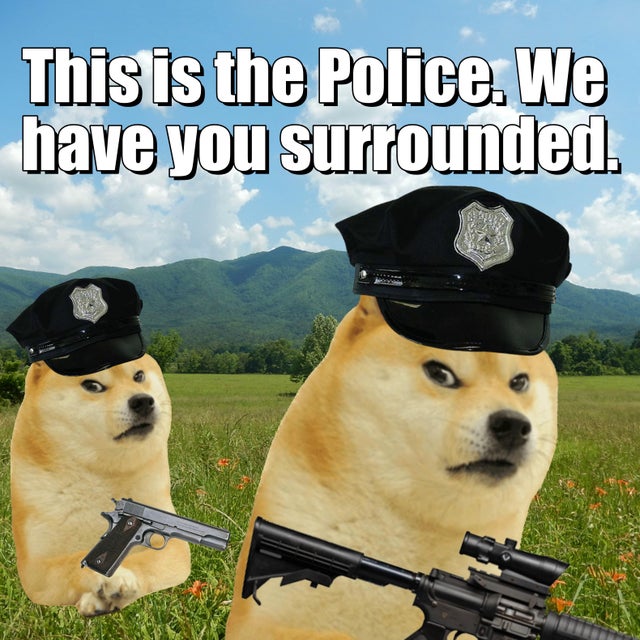memepoliceerc's tweet photo. CA: 0x761eB61Fb4481364b1766Bd70542067a910a9439

TG: https://t.co/UYuvh4QOXf

Chart: https://t.co/kyiD69ZDLx

#MemePolice $FUZZ #WHOOPWHOOP https://t.co/4noUGVRi8d