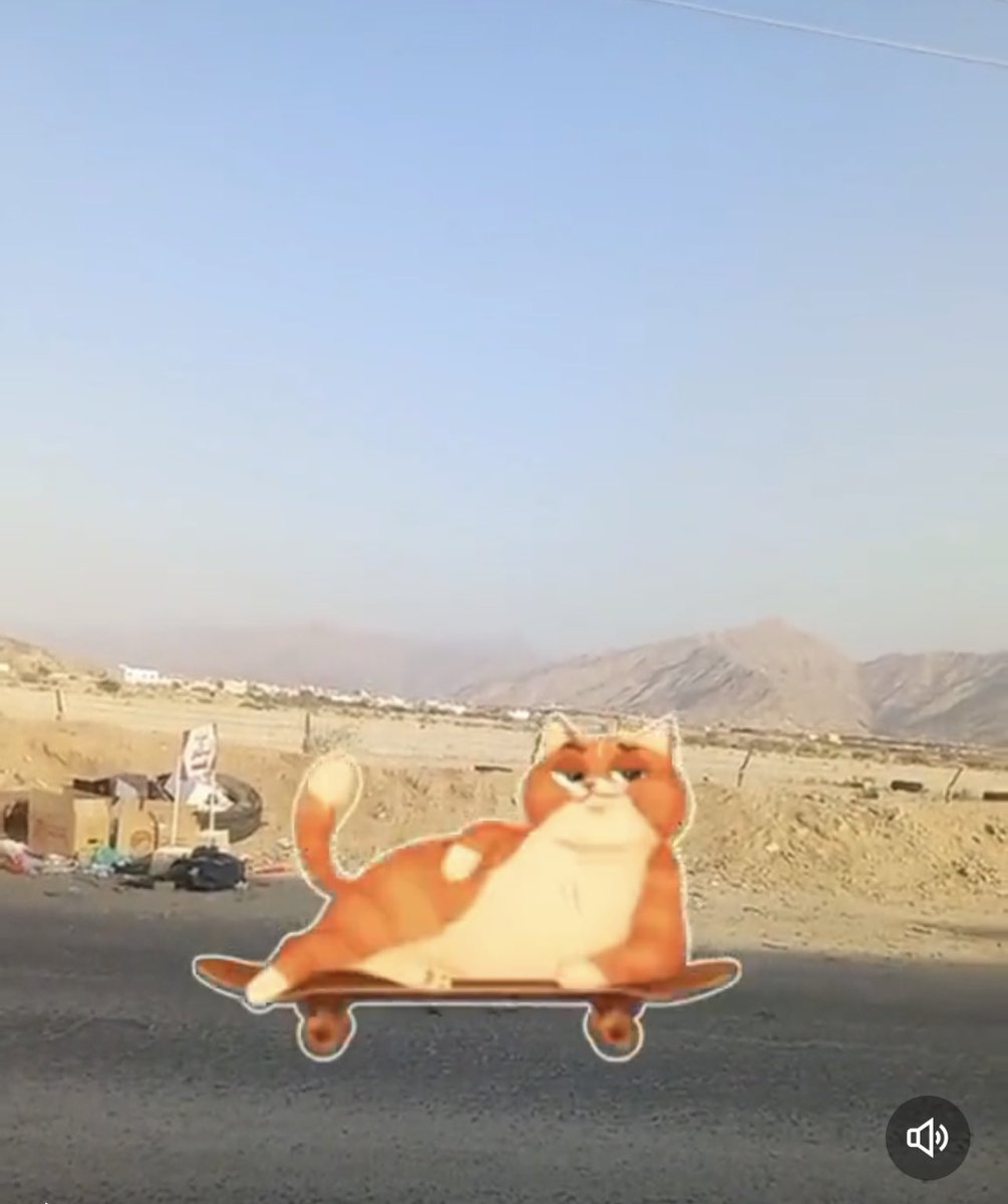 Almarzooqi (@khodhairf) on Twitter photo 