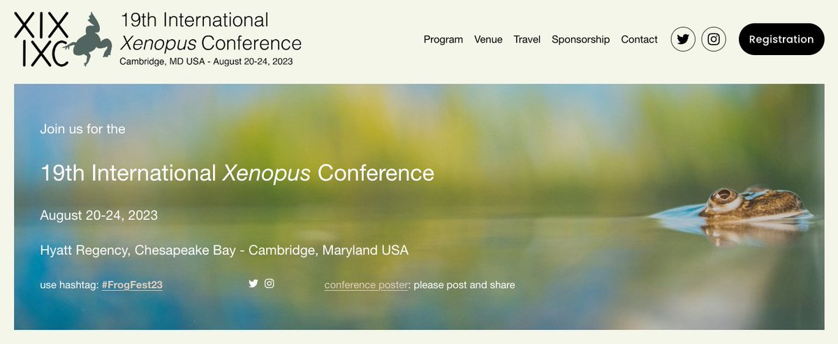Please print, post, and share the updated 19th International Xenopus Conference poster with the confirmed speaker list: 19thxenopusconference.org/s/19th-IXC-pos… #frogfest23 #xenopus #frog #devbio #science