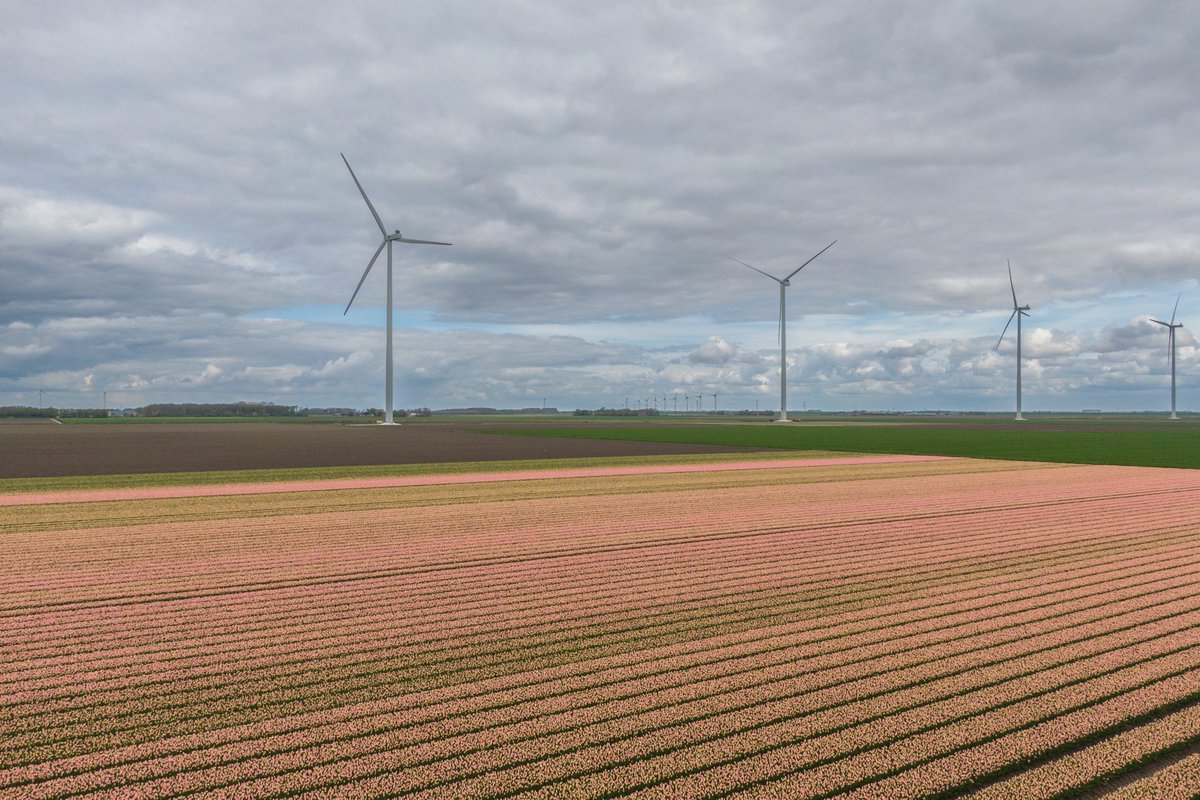 Aardig bewolkt vanochtend. Gelukkig geven de tulpen wat kleur in de polder.
<a href="/FlevolandWeer/">Flevoland Weer</a> <a href="/weermanrobert/">➡️ Robert de Vries</a> <a href="/TFlevoland/">Tulpenroute Flevoland 🌷</a> <a href="/Tulpenroute/">Tulpenroute Dronten</a>
