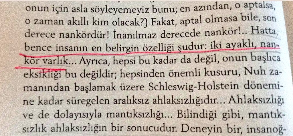 Günay (@gunaymhmtoglu) on Twitter photo 