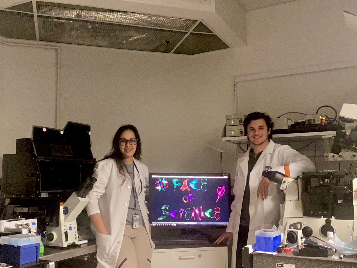 AvaAbtahi's tweet photo. #FaceOfScience #enhancescience #research #scientists #research #NIH #science #biochemistry #biology #cells #cellbiology #molecularbiology #molecularimaging #fluorescence #microscopy #cellsignaling #physiology #love https://t.co/m14MAPP1cI