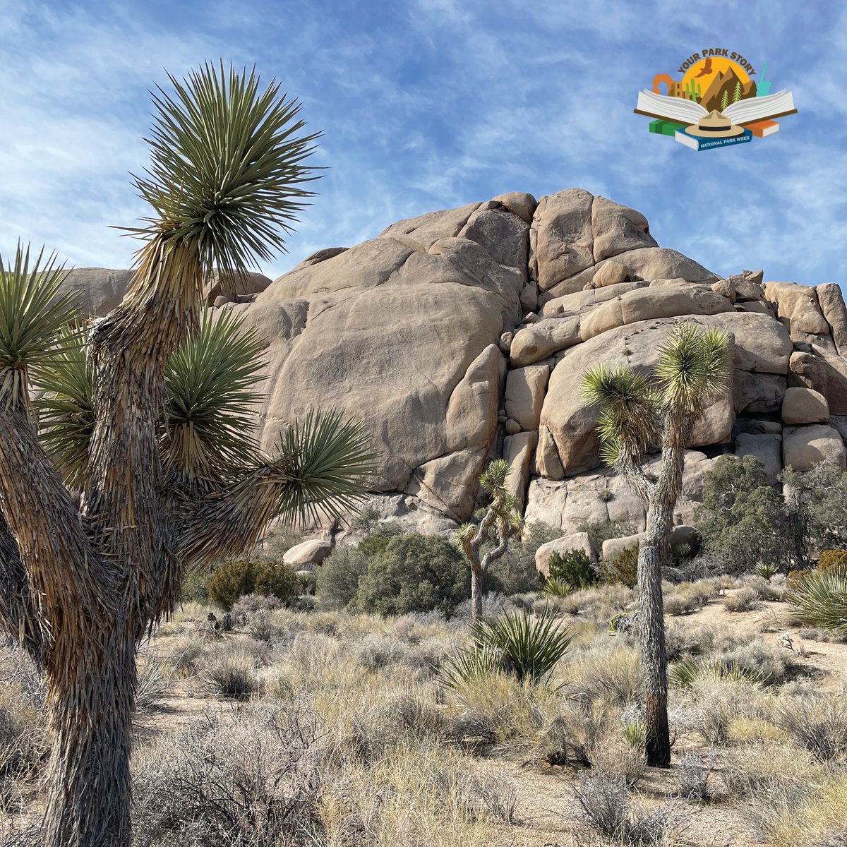 What's #YourParkStory? Join this week as we celebrate National Park Week April 23-30th. This year the <a href="/NatlParkService/">National Park Service</a> is asking you to share "your park story" about a special connection or community you had in the parks. Join in the fun with #MyParkStory. nps.gov/subjects/npsce…