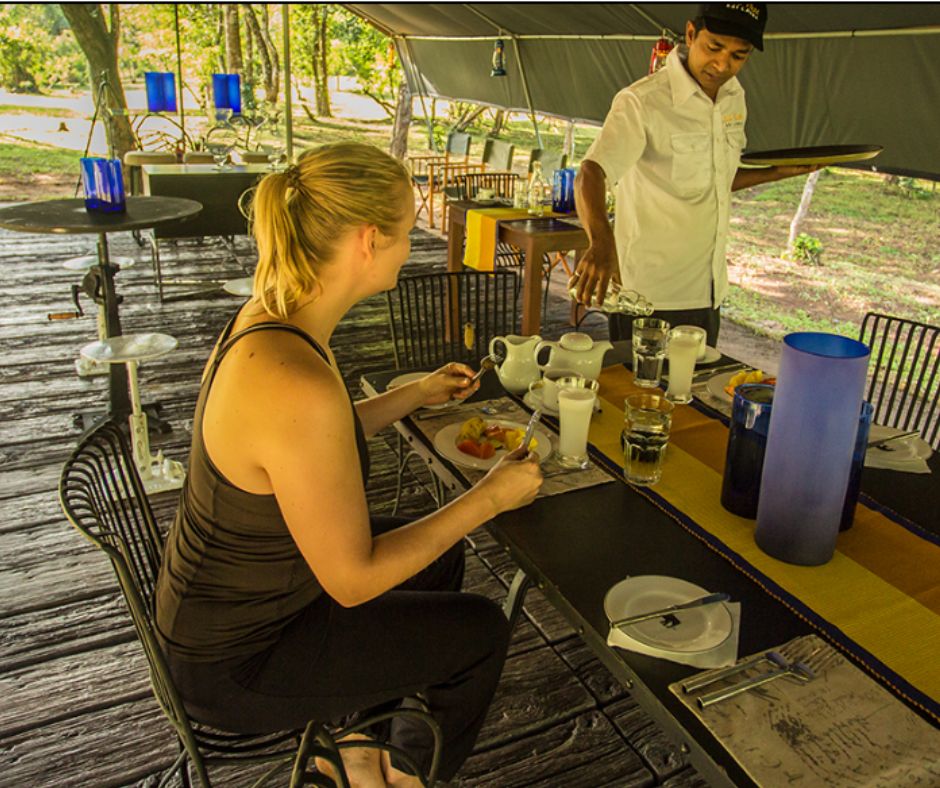 BushWalksCamps's tweet photo. If you a Nature Enthusiast? Then a stay &amp; exploration at #Ahaspokuna is a must. Each #bushwalk trail is #unique and the energy shifts as thrilling stories are told while you stay in comfortable tented suites in the middle of a nature reserve in Belihuloya - #SriLanka. https://t.co/fiX7ASntHe