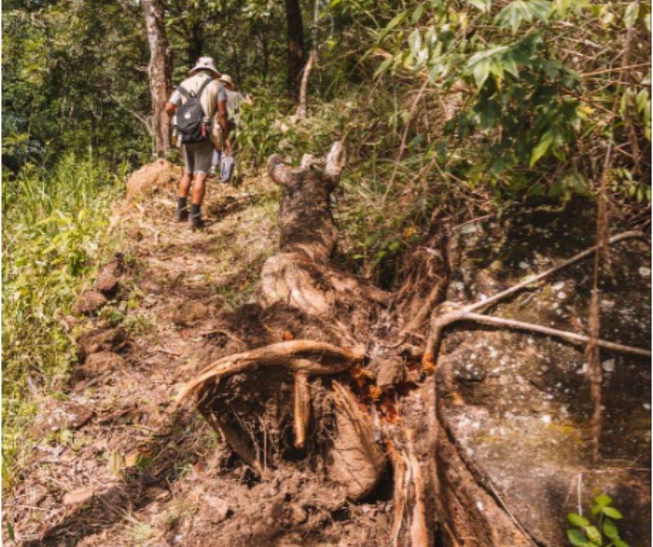 BushWalksCamps's tweet photo. If you a Nature Enthusiast? Then a stay &amp; exploration at #Ahaspokuna is a must. Each #bushwalk trail is #unique and the energy shifts as thrilling stories are told while you stay in comfortable tented suites in the middle of a nature reserve in Belihuloya - #SriLanka. https://t.co/fiX7ASntHe