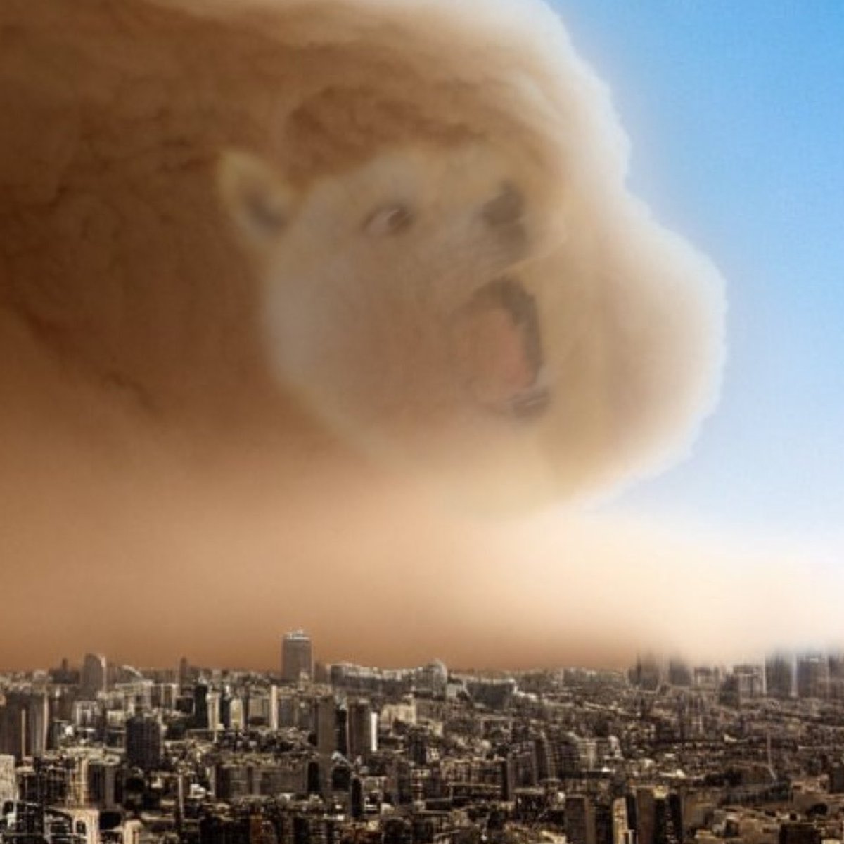 BabyDogenews_'s tweet photo. #BabyDoge is brewing https://t.co/cpoaJtnSqU