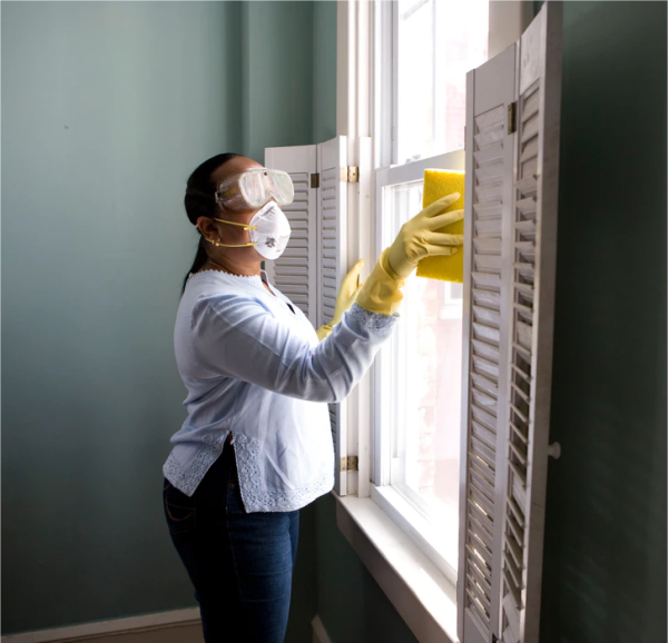 ProCleanWindows's tweet image. It&apos;s important that you understand the differences between hiring a Professional Window Cleaner and doing it yourself. The differences are pretty significant, and you should understand them before you decide which method you will choose...
seattleprowindowcleaner.com/choose-profess…