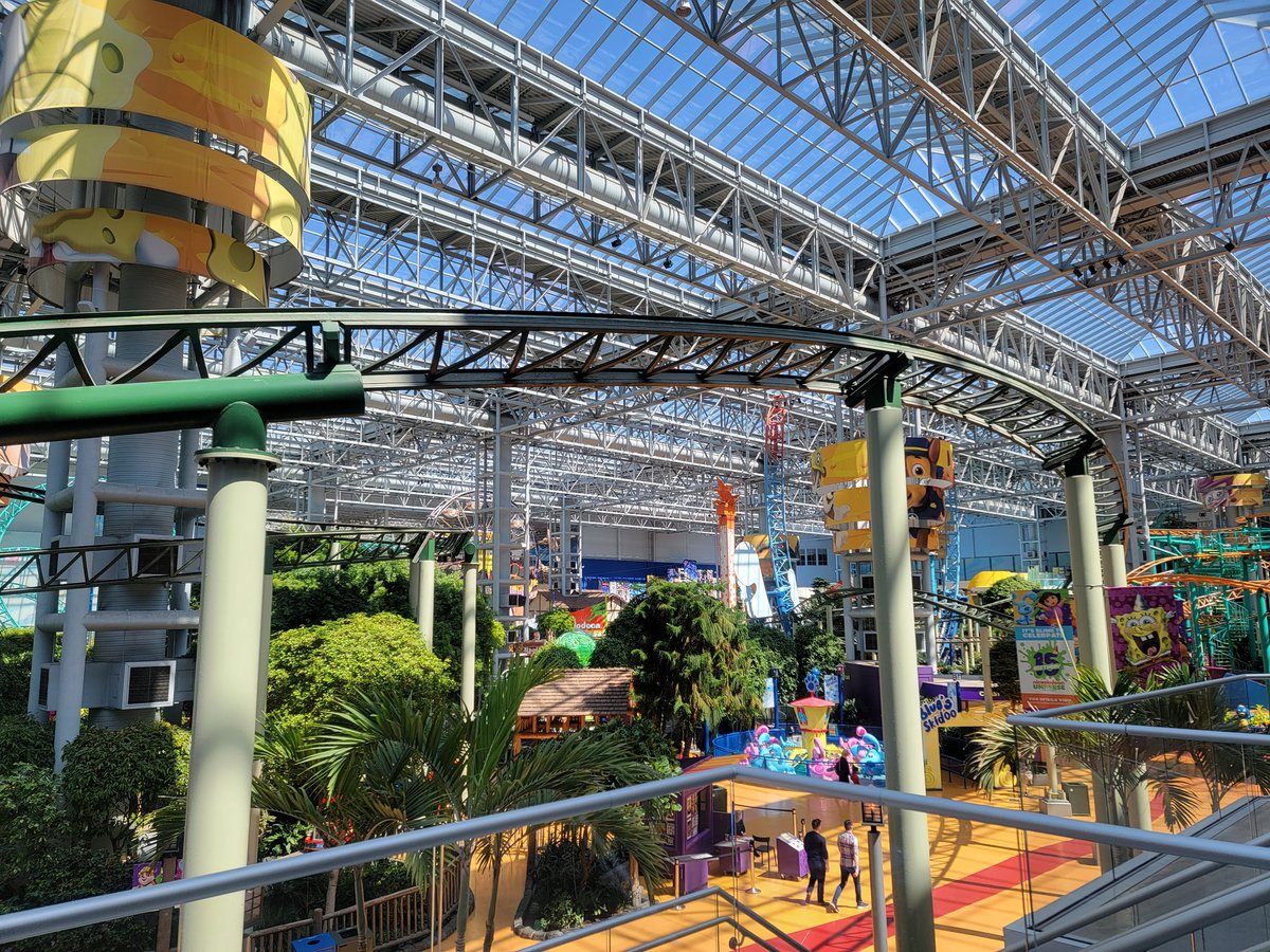 Dirk Tedmon tweet media