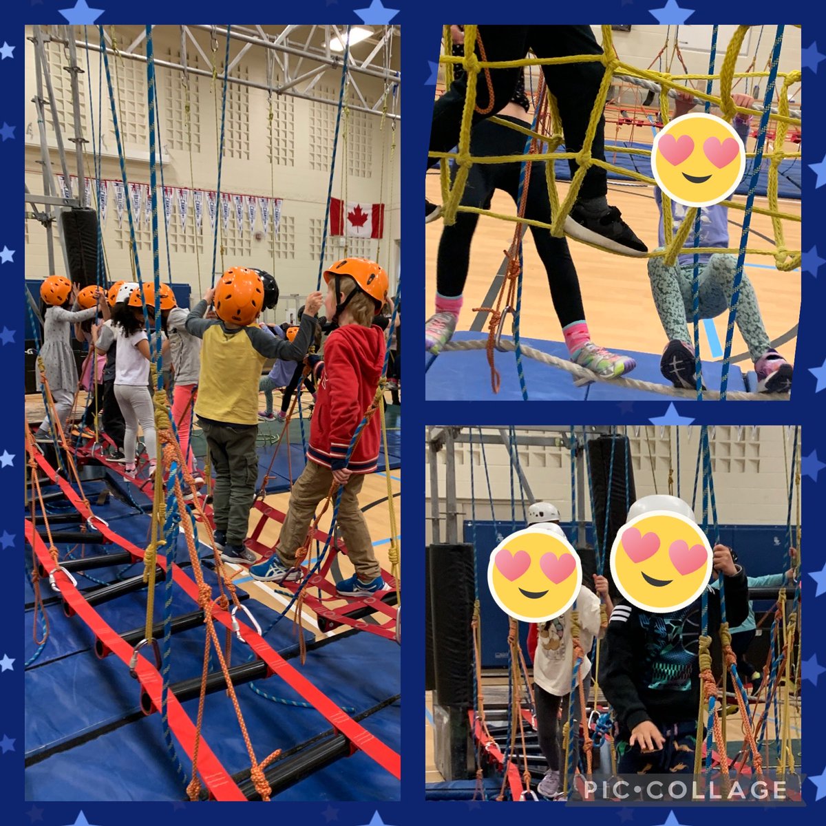 MapleGrove_PS's tweet image. This week Maple Grove hosted Junglesport with the support of our School Council! So many smiles and talented climbers.
