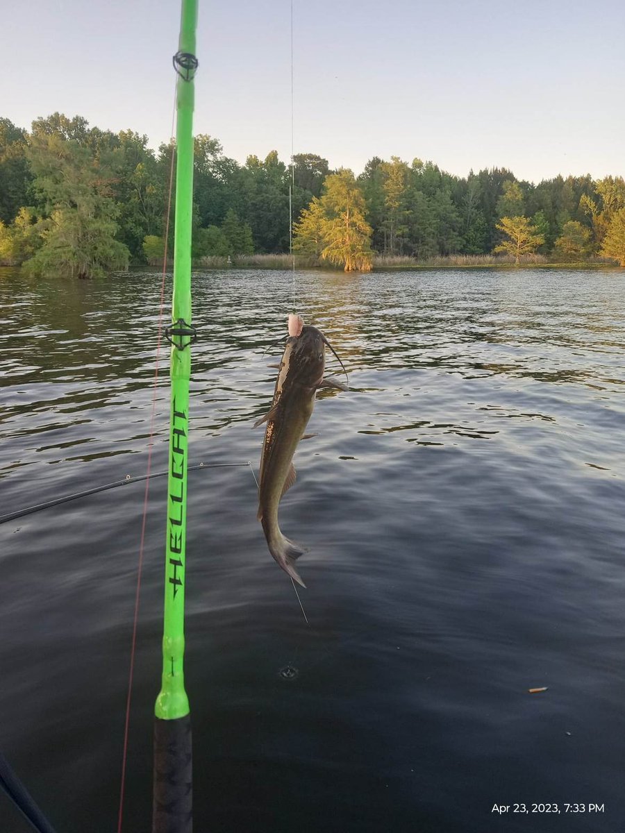 Love fishing #catchandrelese