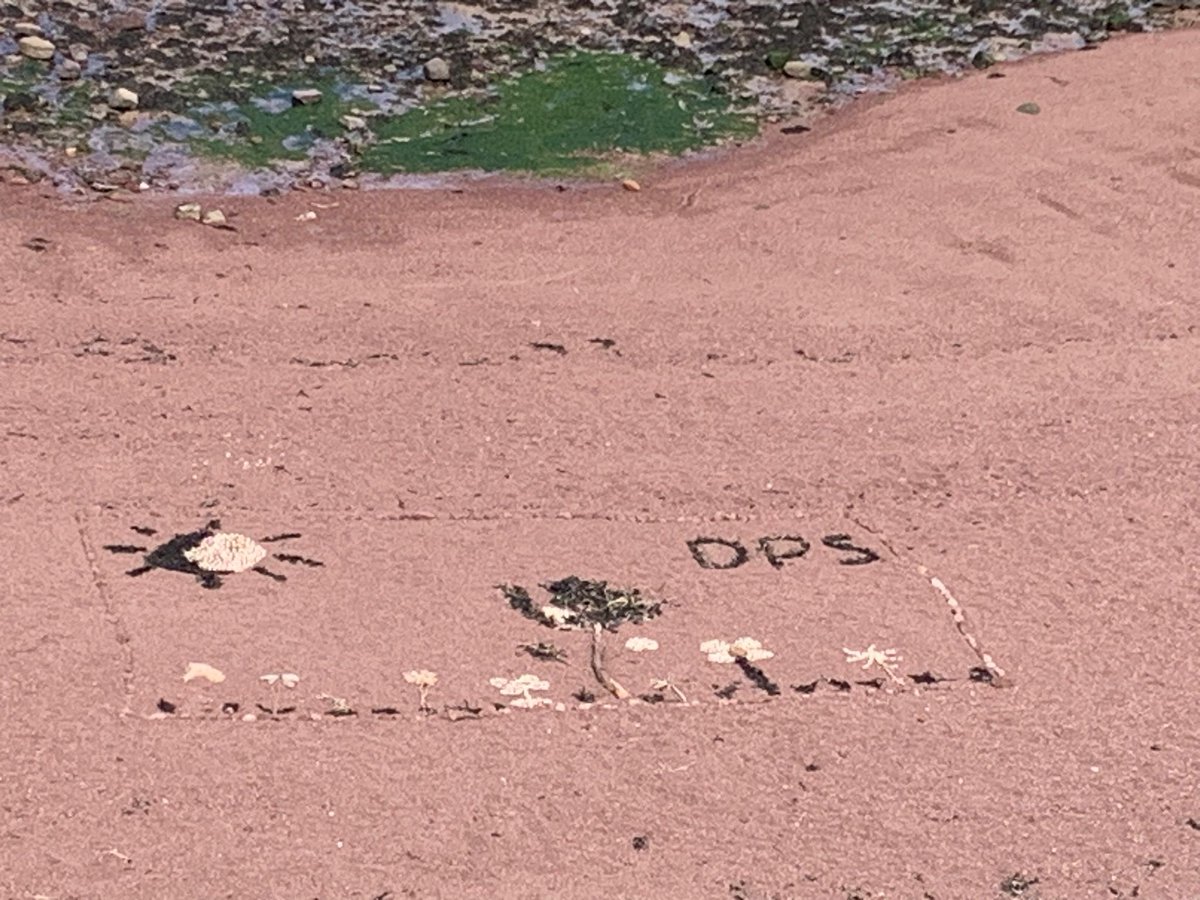 Helen Gillanders tweet media