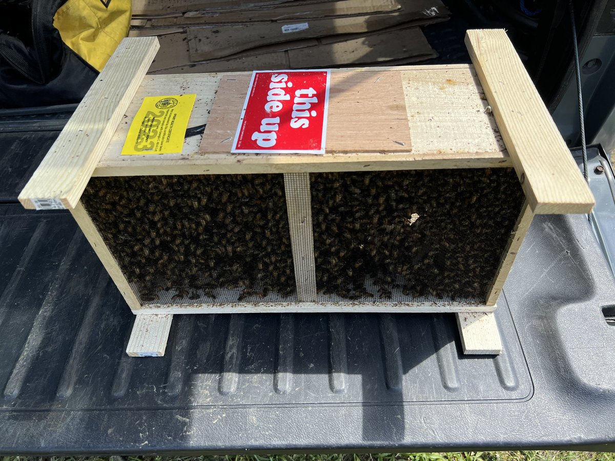 NBHSFFA's tweet photo. The 🐝 have arrived! https://t.co/Xy9dxOZHh0