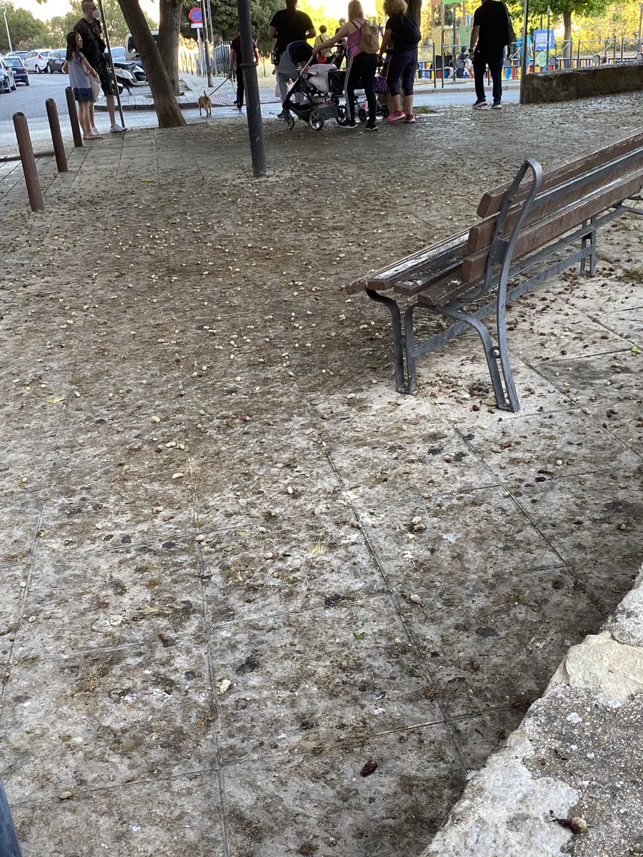 laual7's tweet photo. @AytoJaen qué tal un poquito de limpieza en el parque Ortega Sagrista? https://t.co/mz22j6CGqu