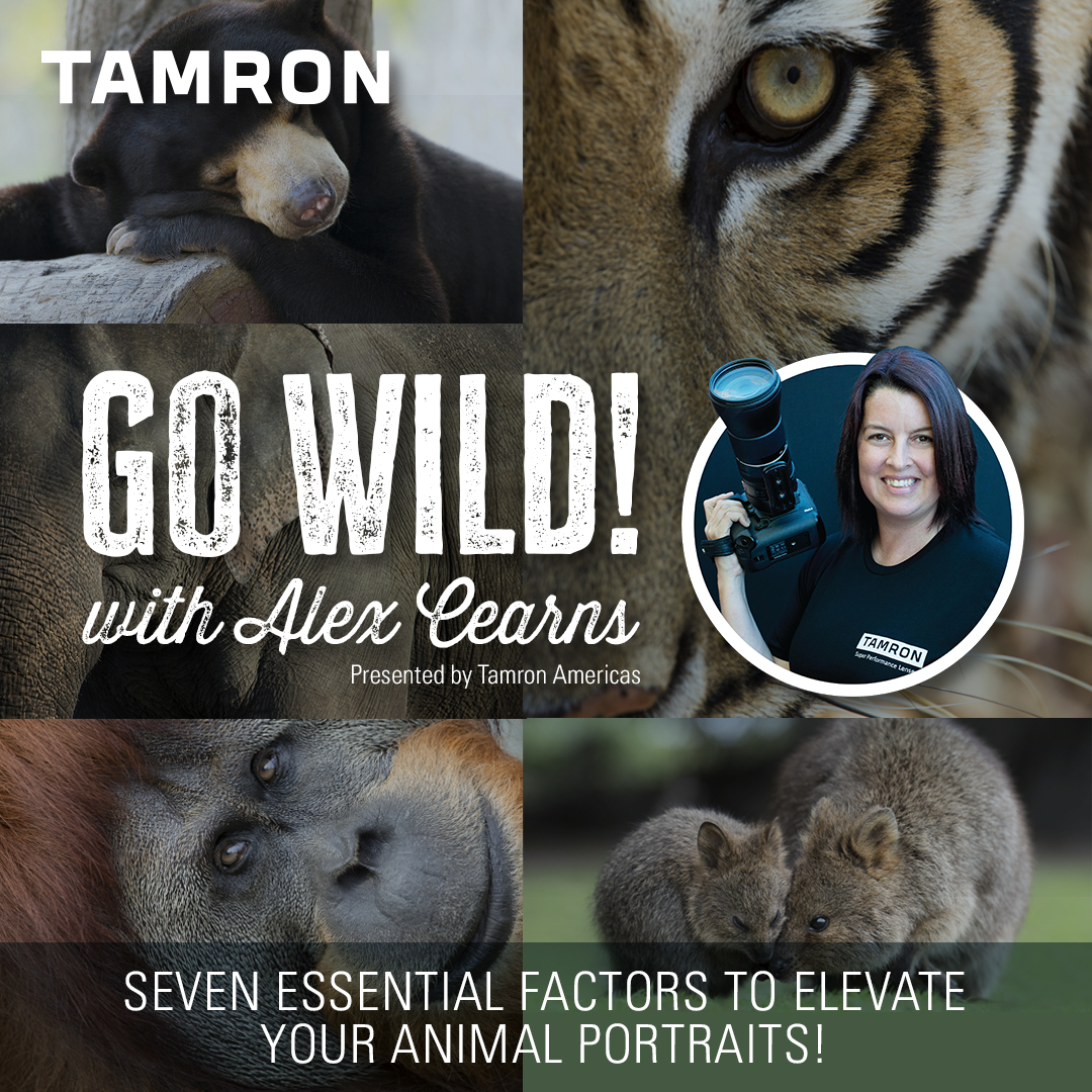 STARTING SOON: Australian professional animal photographer <a href="/AlexCearns/">Alex Cearns</a> share her seven essential factors to elevate your animal portraits. Hosted by <a href="/TamronAmericas/">Tamron Americas</a>

Today @ 3pm | bhpho.to/3LZ2iOC