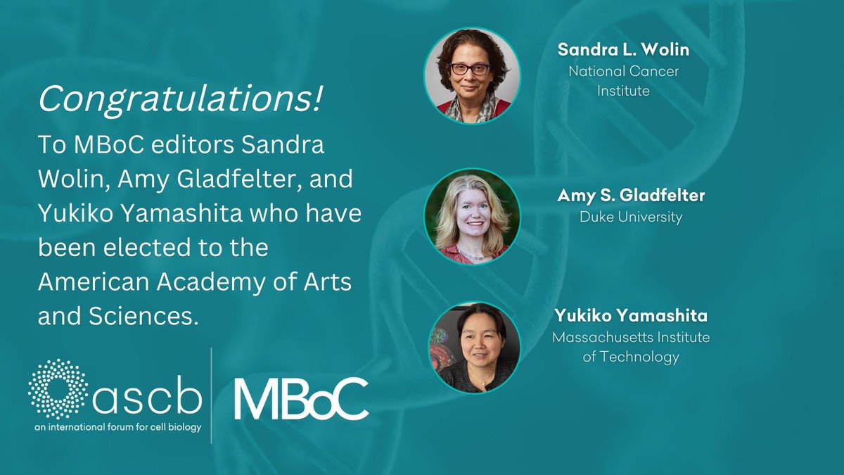 Congratulations to MBoC editors Sandra Wolin, Amy Gladfelter, and Yukiko Yamashita who have been elected to the American Academy of Arts and Sciences!