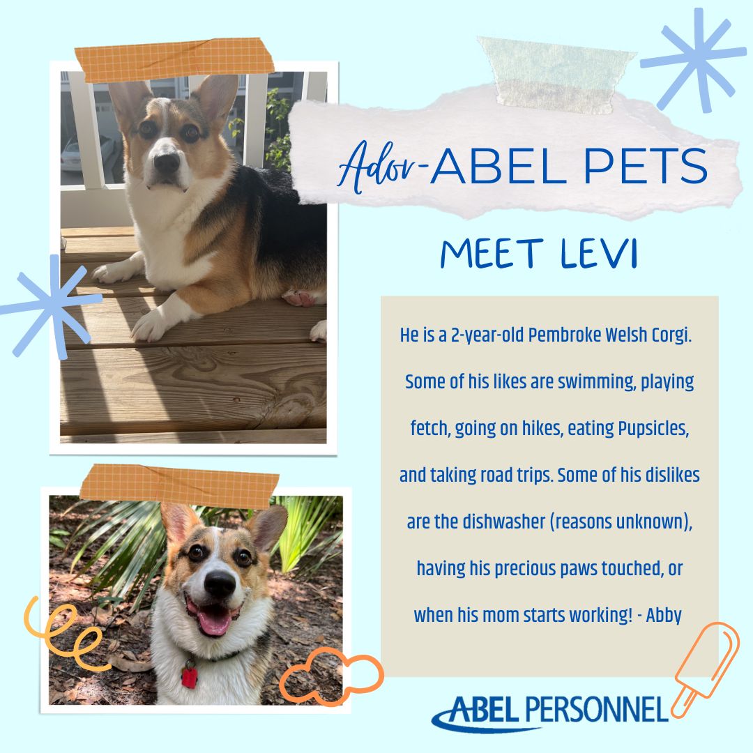 Say hello to this weeks Ador-Able pet, Levi! Thank you for sharing Abby!
#AbelPersonnel #pets #dogs #doglover #corgi #corgilife #pembrokewelshcorgi #puppy #petsatwork #PawsomePups #pawsomepets #pupsicles #dogsofinstagram #cmgr #fetch #petlover #centralpa