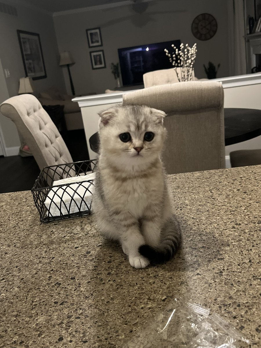 bugha (@bugha) on Twitter photo 