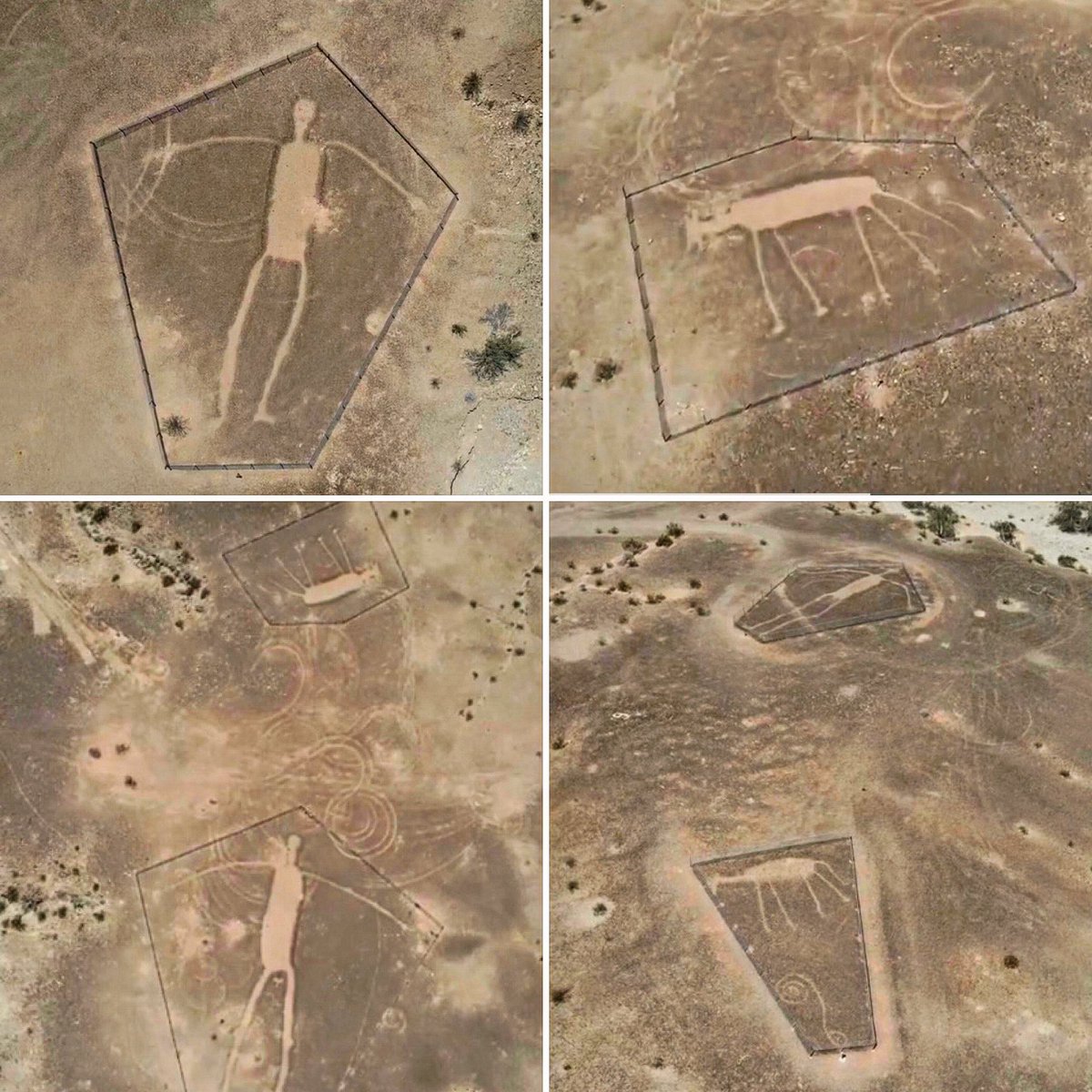 WWolfProd's tweet photo. #geoglyphs in #america The #blytheintaglios in the #coloradodesert in #california by #drone is available to watch now for #youtube #channelmembers and will be fully released later this week! #ancientsites #ancient https://t.co/OKwmzECua0