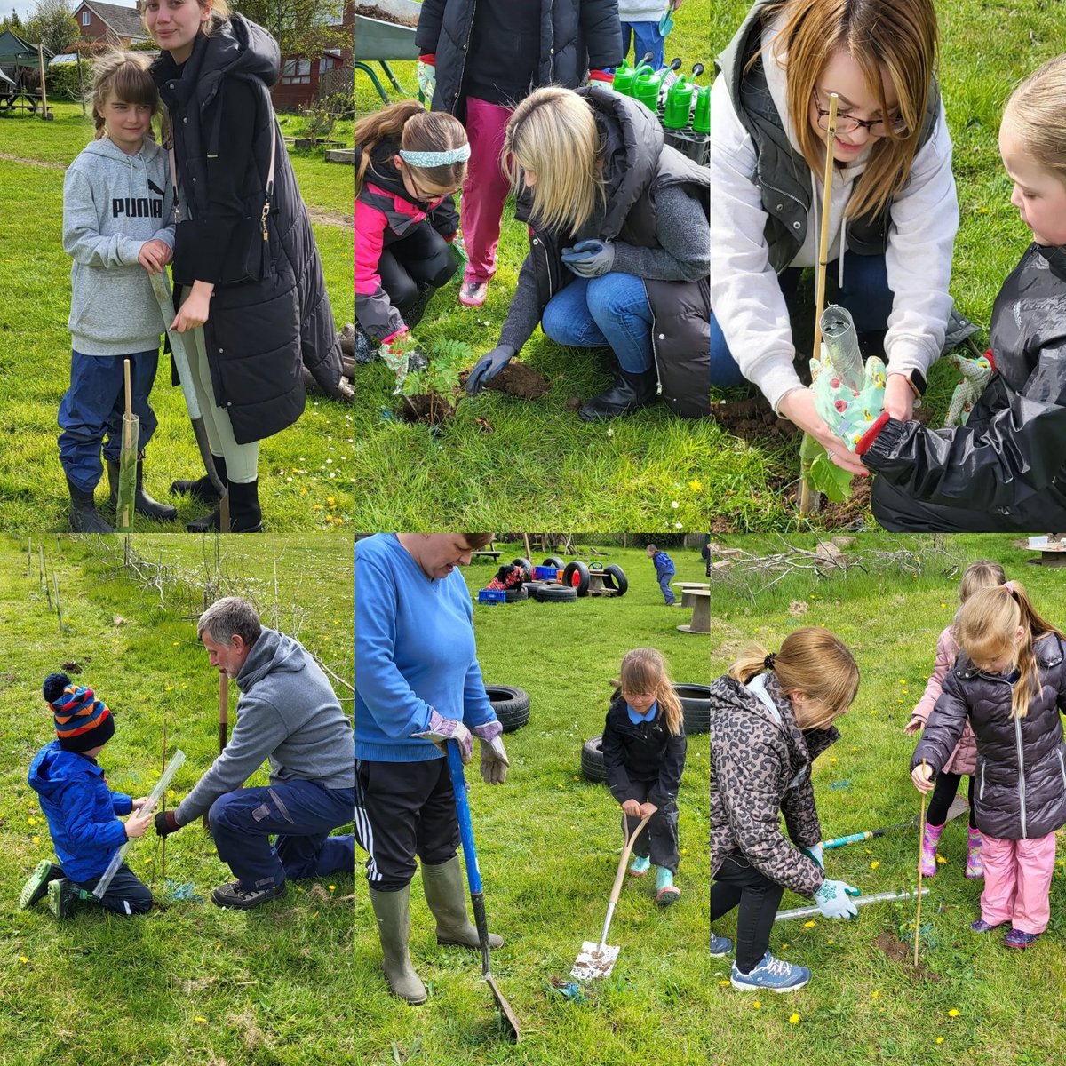 Today has been wonderful. Thank you to all the parents and children for all their hard work on our tree planting day. The buzz around the site and the enthusiasm shown has been incredible. Lots of tired children, adults and a forest school leader this evening 😴  @CH_Curriculum