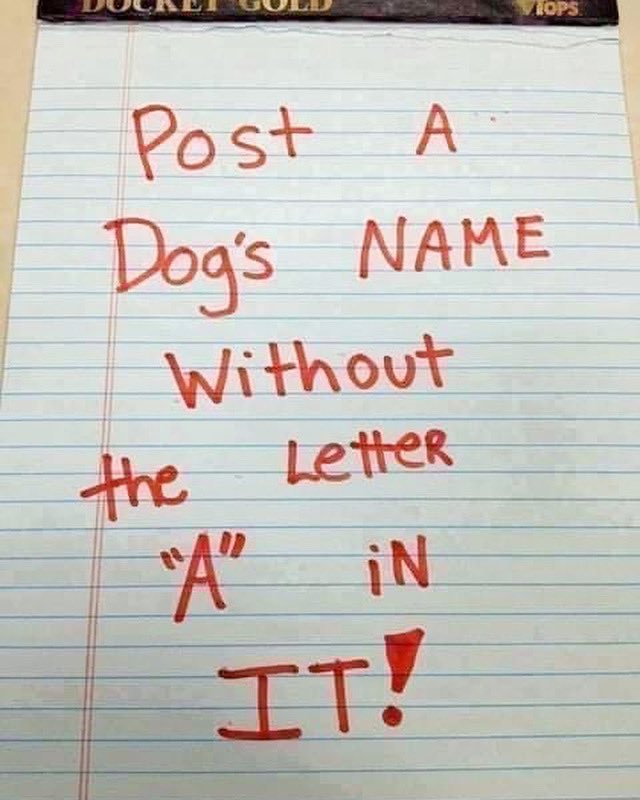 Chicago History ™️ tweet media