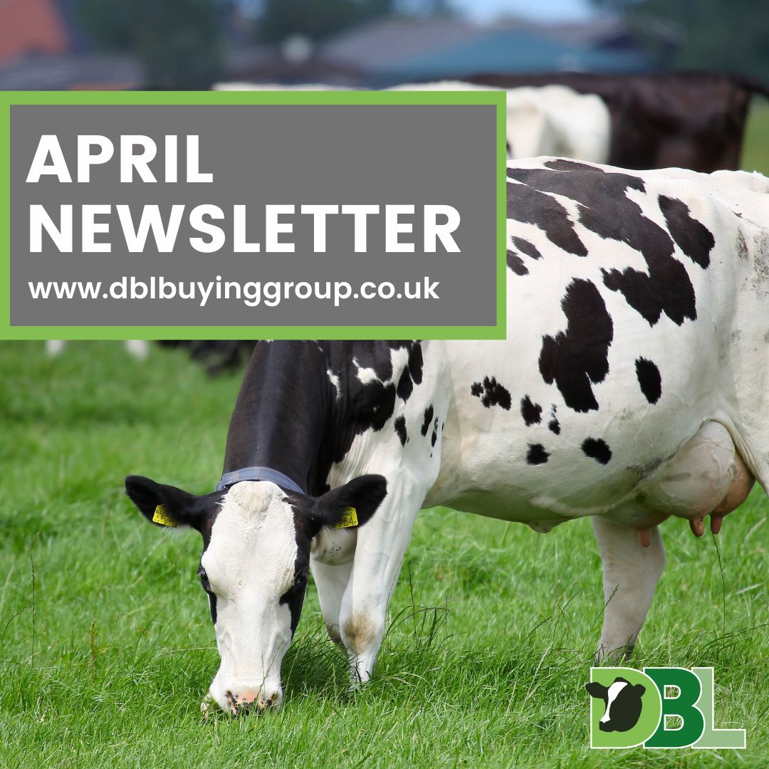DBLBuyingGroup's tweet photo. Our April Newsletter is available to view: https://t.co/s6ez8BGYiJ https://t.co/dgsj3VENcd