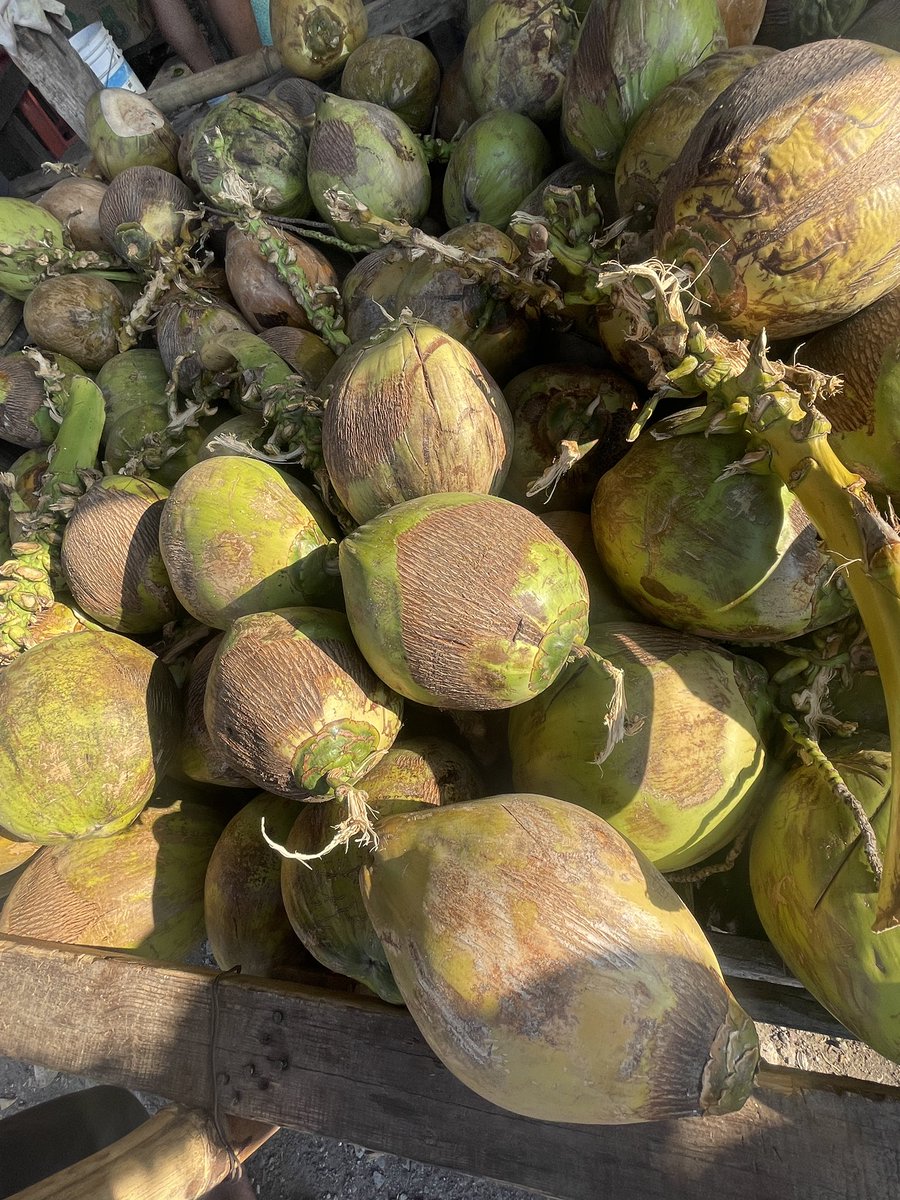 JessicaTlapala's tweet photo. 🥥 https://t.co/tzluNsX5wt