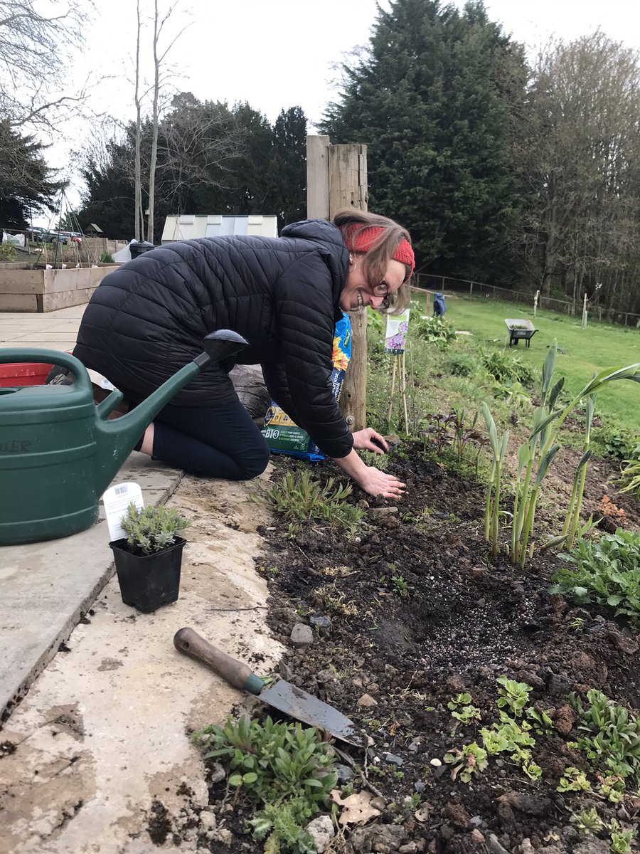 space to grow mental health growing project tweet media