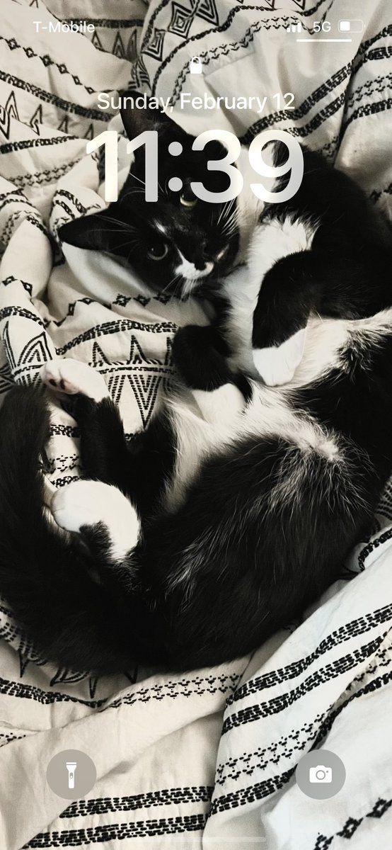 lance campbell tweet media