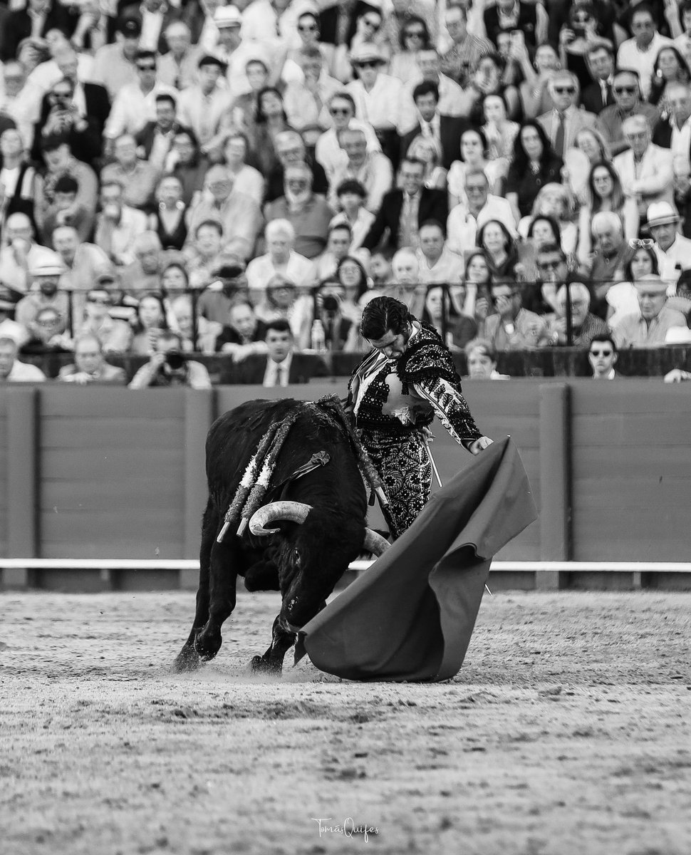 Tomás Quifes tweet media