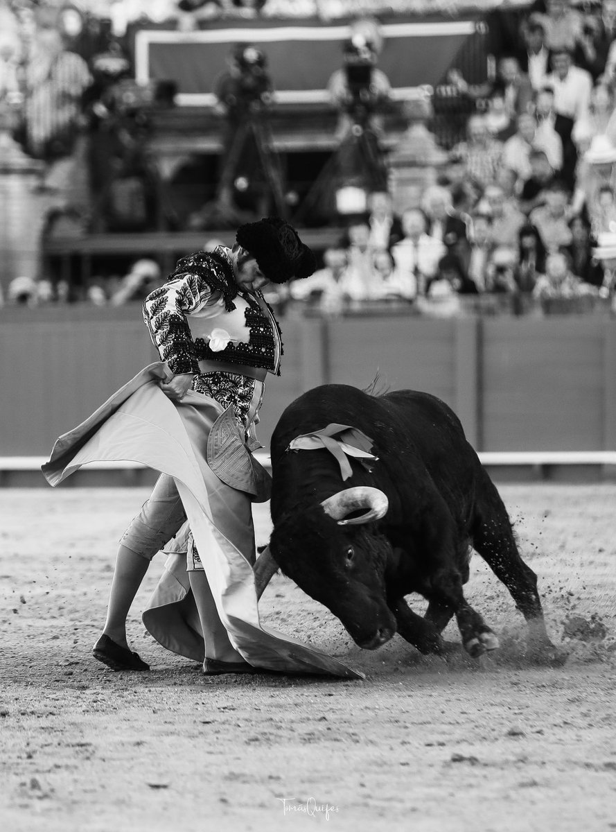 Tomás Quifes tweet media