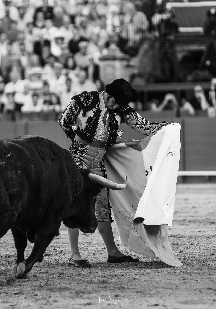 Yo vi torear a Morante de la Puebla en la Maestranza el 26 de Abril de 2023. 📸

HISTORIA.

#Maestranza23