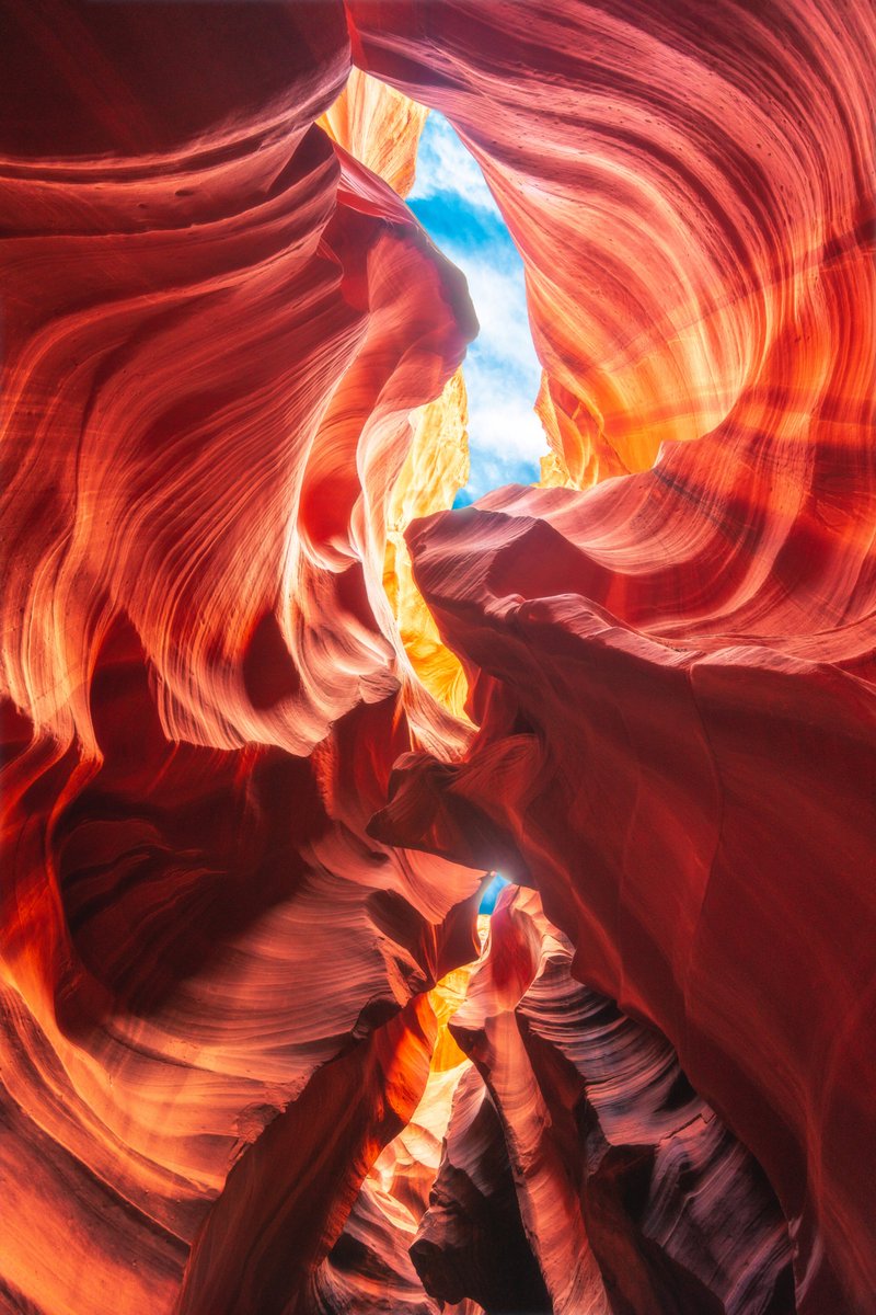 Zach Doehler tweet media