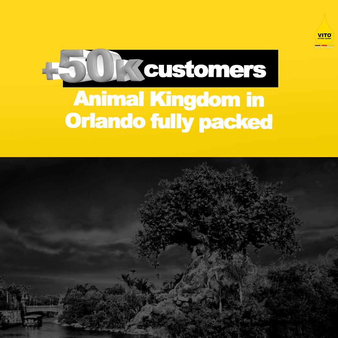 VITO_fryfilter's tweet photo. 📣 Exciting news! VITO has reached an incredible milestone of over 50,000 customers! 🎉

Thank you to everyone who has chosen VITO to revolutionize their frying experience. 

Join the growing community  with VITO Fryfilter! 🌟

#VITOfryfilter  #50kstrong #fryingrevolution https://t.co/tqmK0y1dmQ