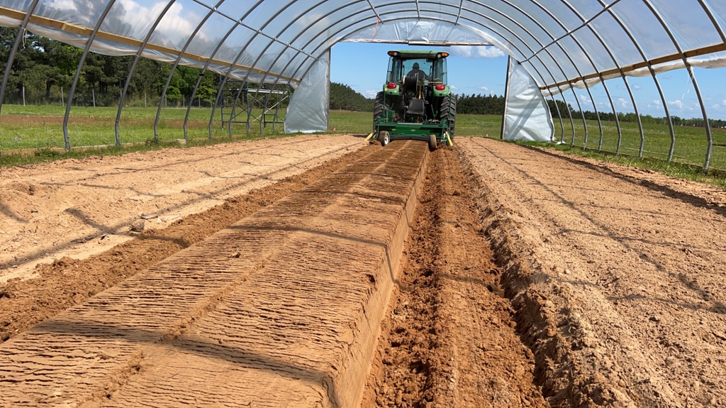 Arkansas Agricultural Experiment Station tweet media