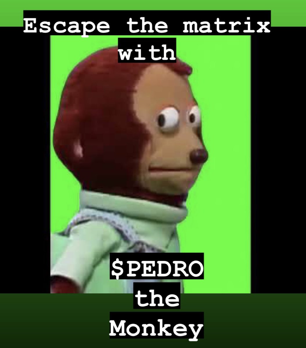 PeterXCrypto's tweet photo. @TrueGemHunter Nice pic now on to $PEDRO. Low mc dyor @pedroerctoken https://t.co/MU5I5wUCyz