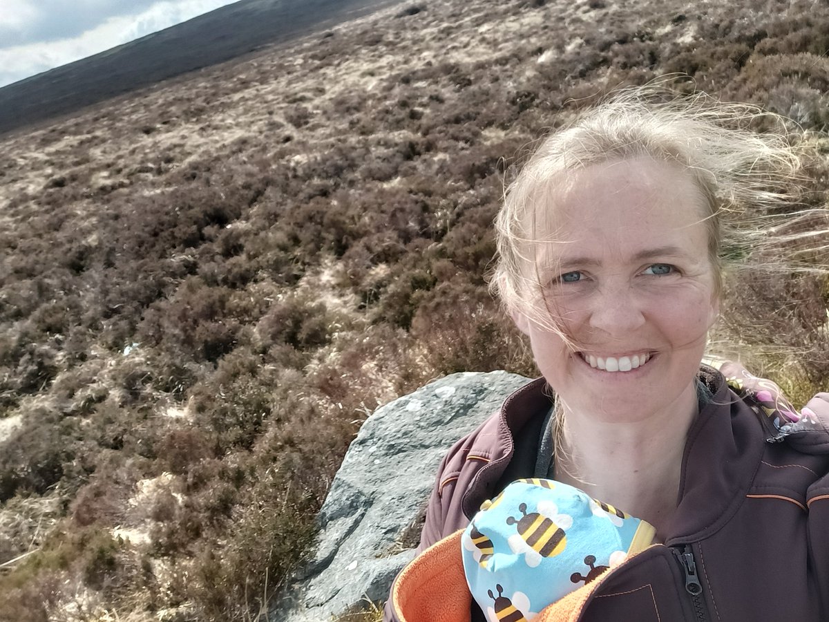 We dressed for the occasion on my second @BioDataCentre bumblebee monitoring transect of the year this morning! Still not much out in the Dublin mountains...but lovely view of a Jay and Red Grouse, #biodiversity #monitoring #matleave