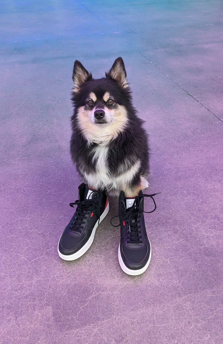 npllıʍnpllıʍ (@willduwilldu) on Twitter photo 