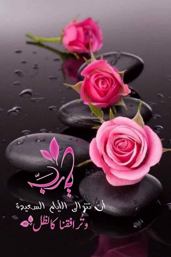 amode4444422's tweet photo. الحمدلله ألف مره ،
على كل لحظه بسيطه قاد��ه تخلق فينا
شعور الرضا 
•• سـامح الجميع ~
فمن المخجل أن تقف على باب الله
وتطلب العفو منه وأنت لا تعفو، https://t.co/jOf5enIxa7