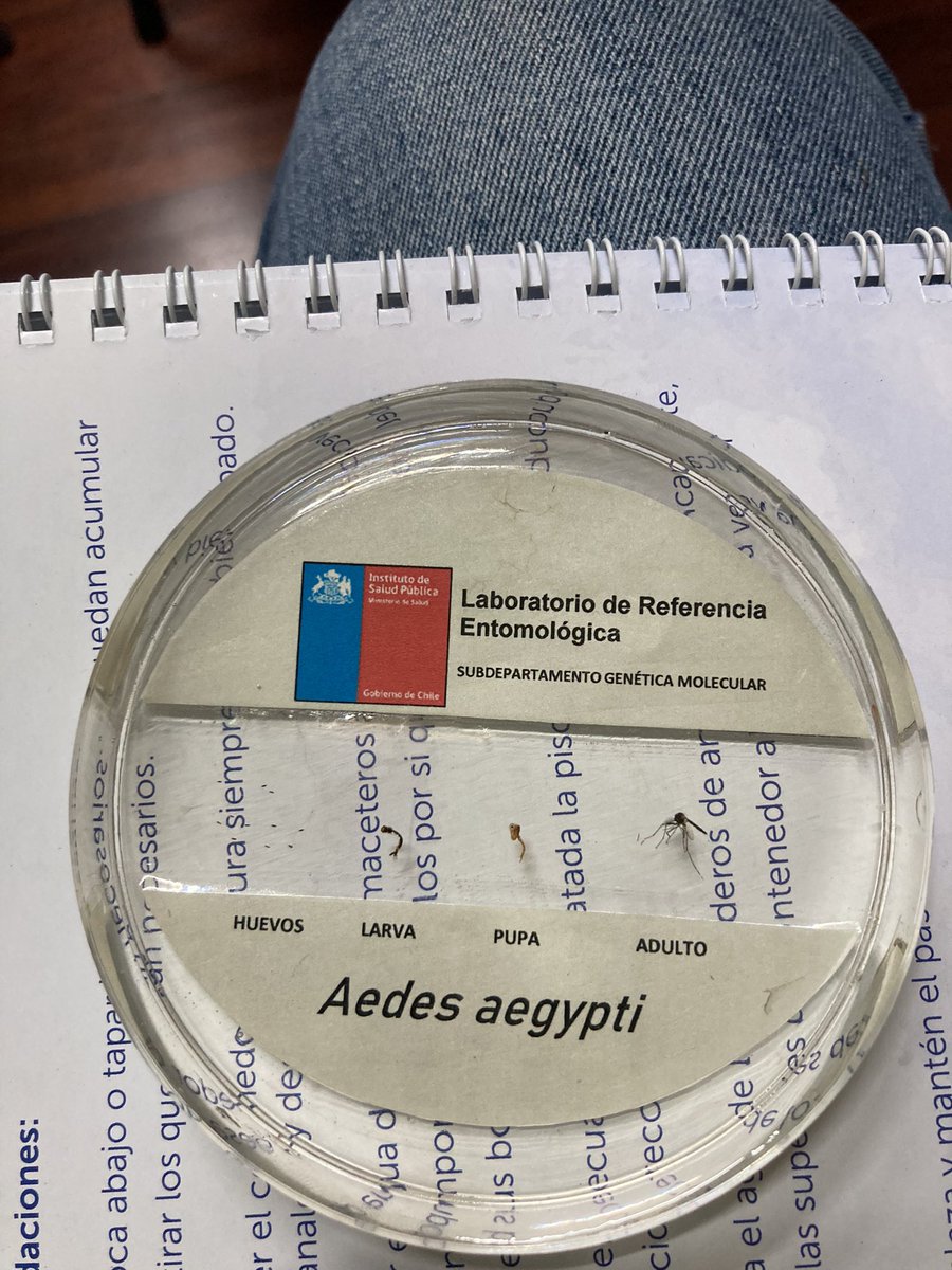 SAMU Aconcagua tweet media