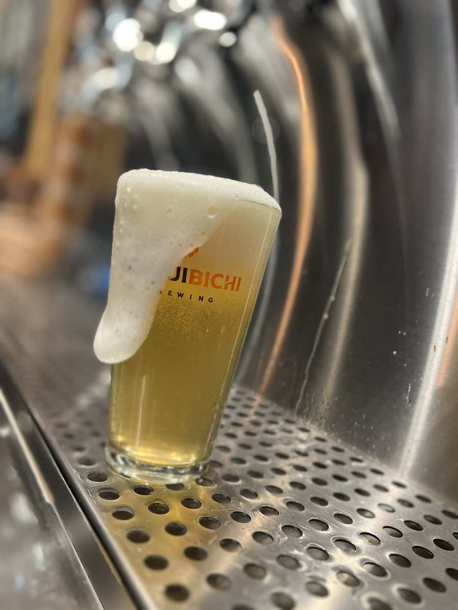 BuquiBichi's tweet photo. Tweet de apreciación de una cheve única, deliciosa 🍻:
𝗞𝗜𝗖𝗞 𝗙𝗟𝗜𝗣
ꜰʀᴜɪᴛᴇᴅ ꜱᴏᴜʀ ᴀʟᴇ
Collab con #Cardera de Ensenada 🌵.
Experimenten el sabor de una cerveza ácida con notas a limón real 🍋 zarzamora.
¡Recuerden que pueden llevarla en growler 🍻!
#BuquiBichi. https://t.co/BBREpCec91